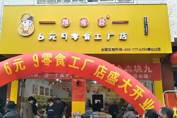 饞嘴郎第822店：廣東河源東源縣仙塘鎮6塊9零食加盟店